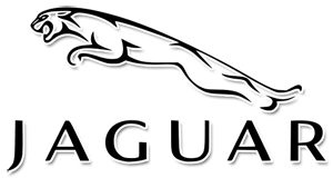 Jaguar Repair